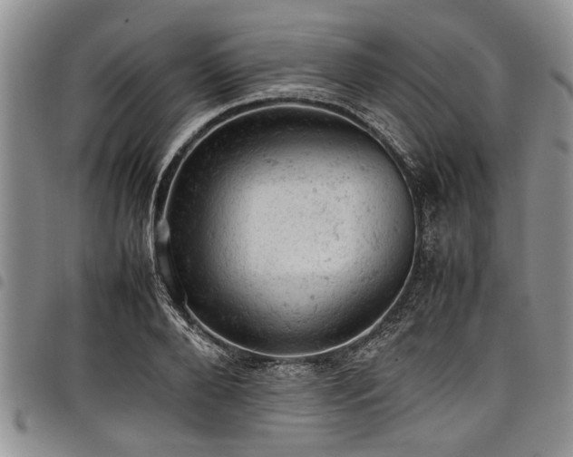 X0000098160888200804171556