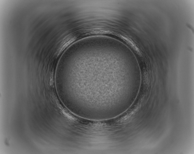 X0000098160889200804171556