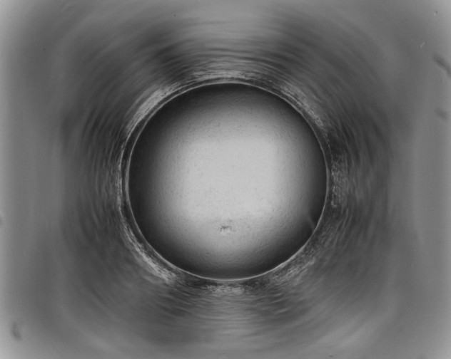 X0000098160890200804171556