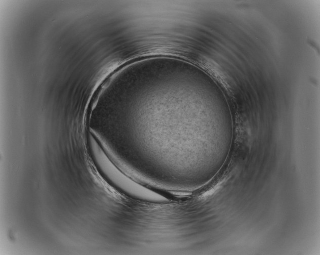X0000098160892200804171556