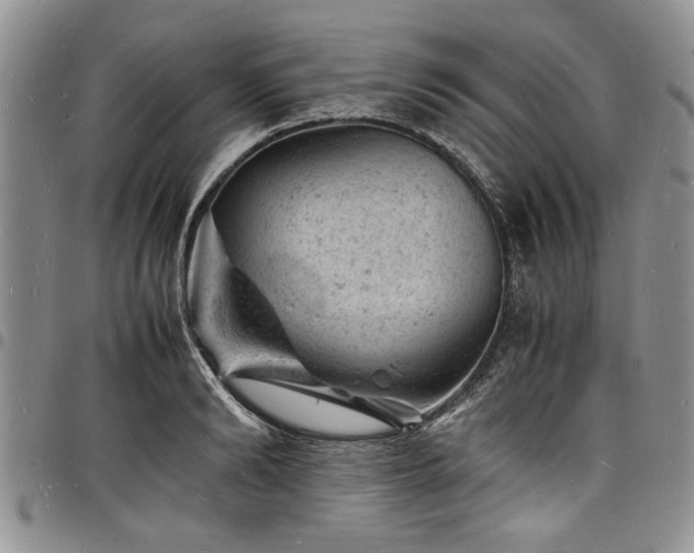 X0000098160894200804171556