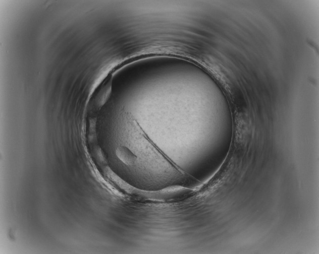 X0000098160896200804171556