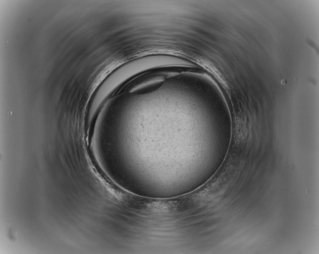 X0000098160898200804171556