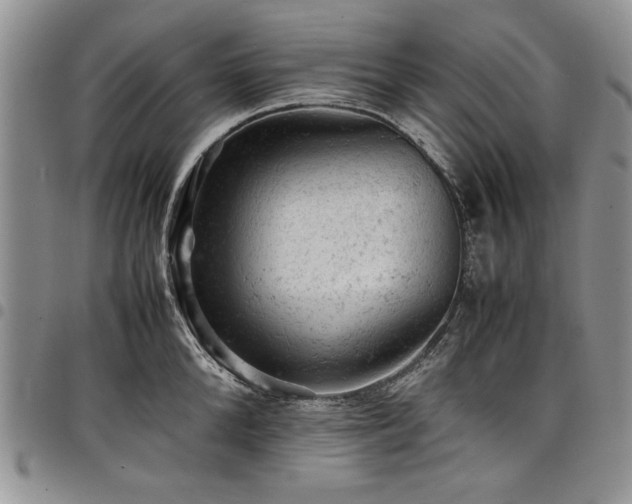 X0000098160904200804171556
