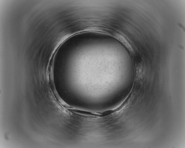 X0000098160908200804171556