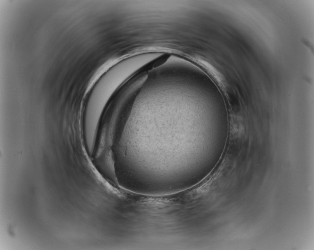 X0000098160910200804171556