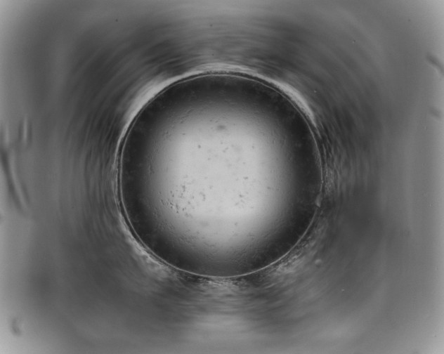 X0000098160911200804171555
