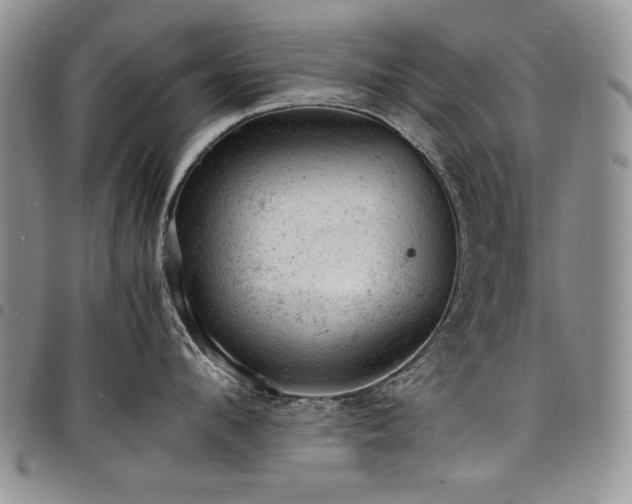 X0000098160912200804171555