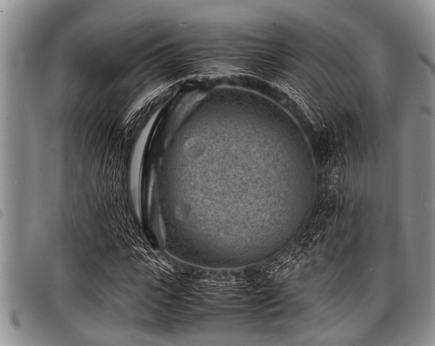 X0000098160919200804171555