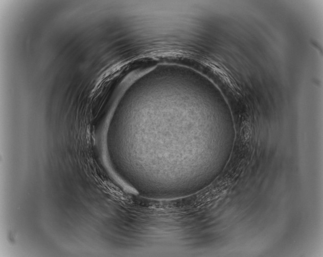 X0000098160920200804171555