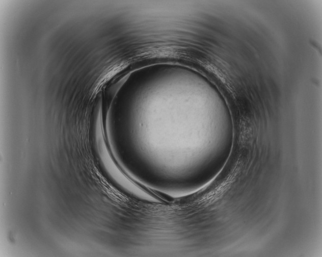 X0000098160922200804171555