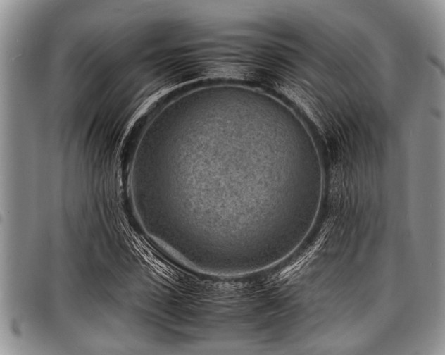 X0000098160923200804171555