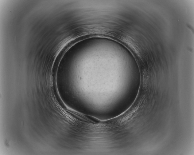 X0000098160924200804171555