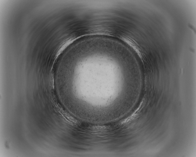 X0000098160925200804171555
