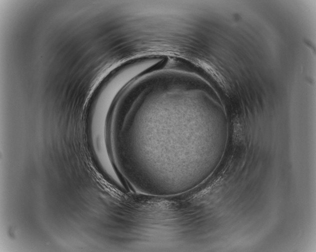 X0000098160926200804171555