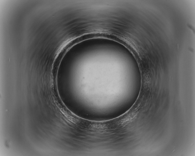 X0000098160927200804171555