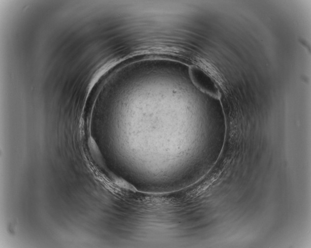 X0000098160928200804171555