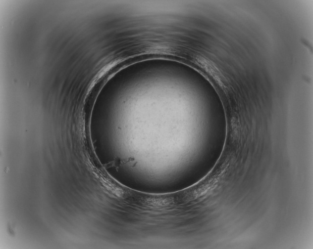X0000098160931200804171555