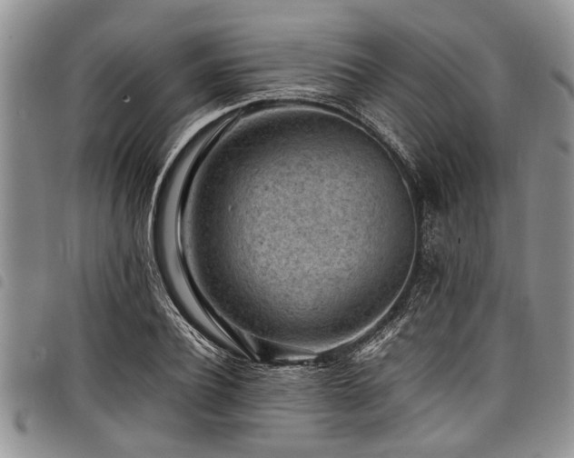 X0000098160932200804171555
