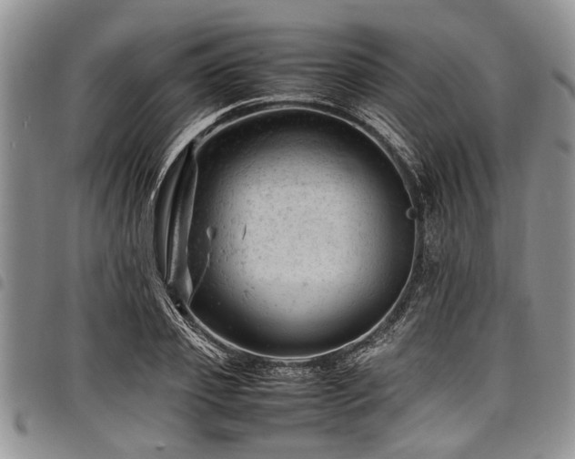 X0000098160933200804171555