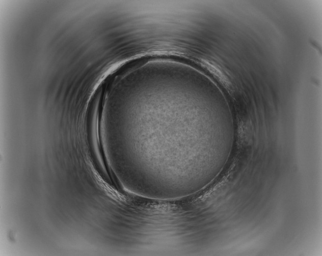 X0000098160934200804171555