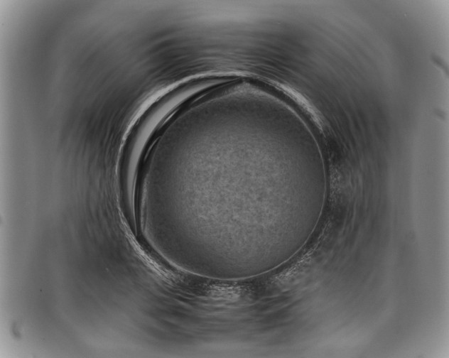 X0000098160935200804171555