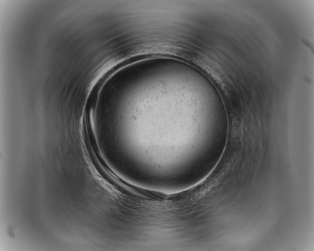 X0000098160936200804171555