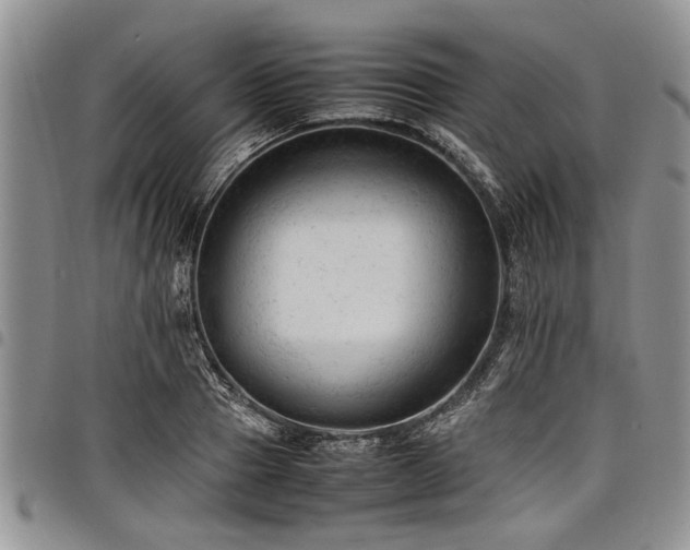 X0000098160937200804171555