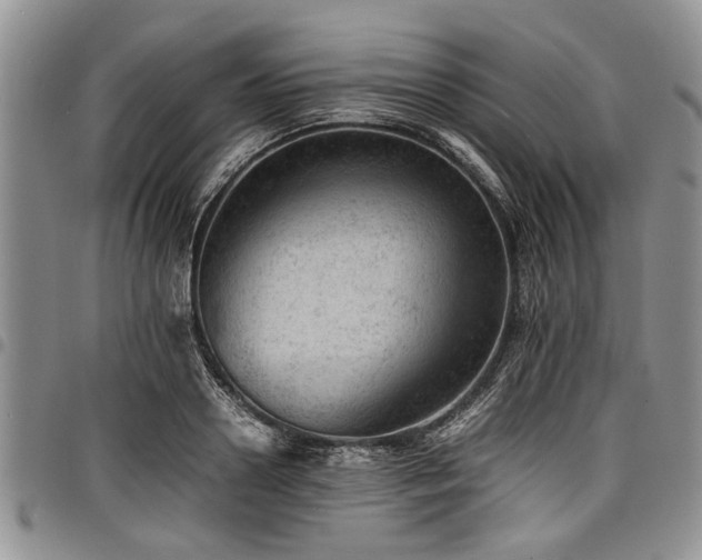 X0000098160938200804171555