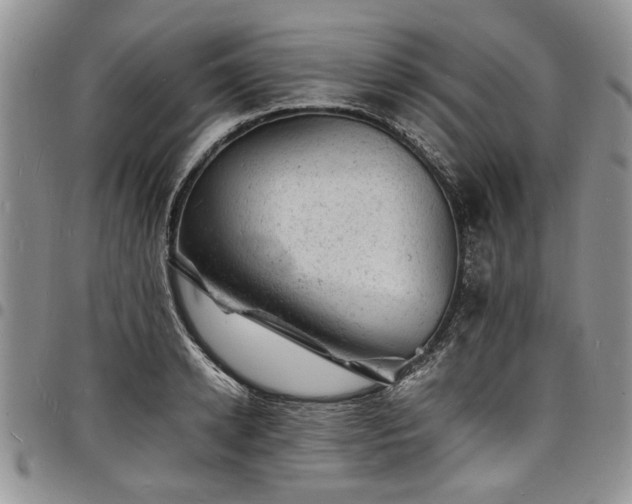 X0000098160942200804171555