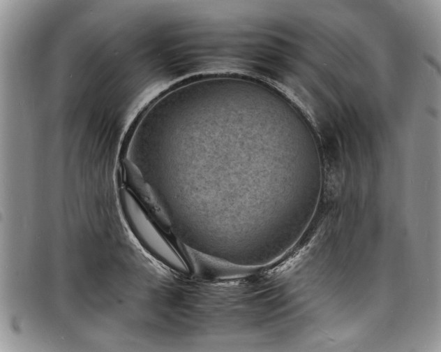 X0000098160943200804171555