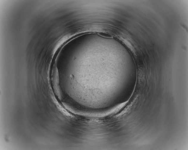 X0000098160944200804171555