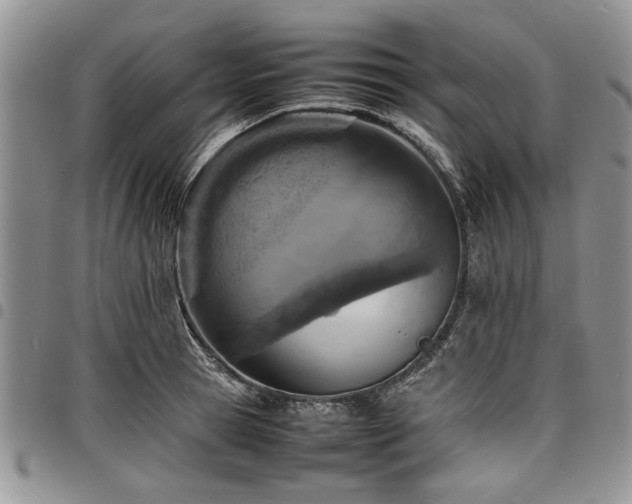 X0000098160945200804171555