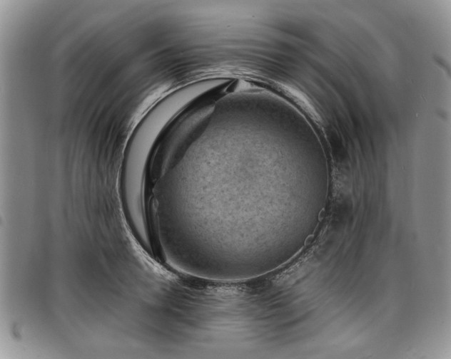 X0000098160946200804171555