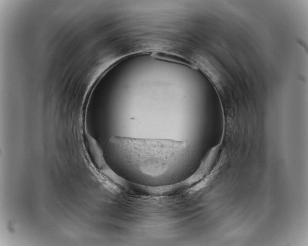 X0000098160948200804171555