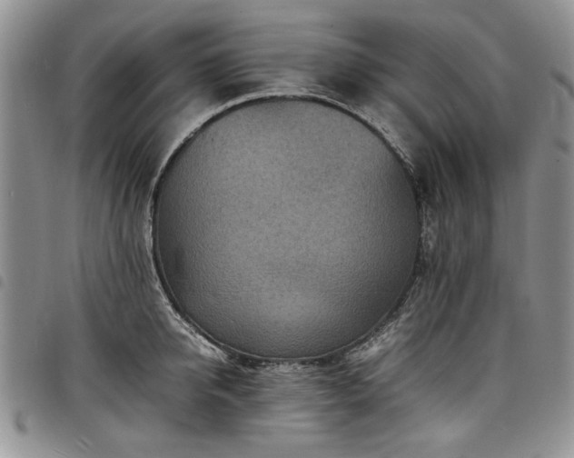 X0000098160950200804171555