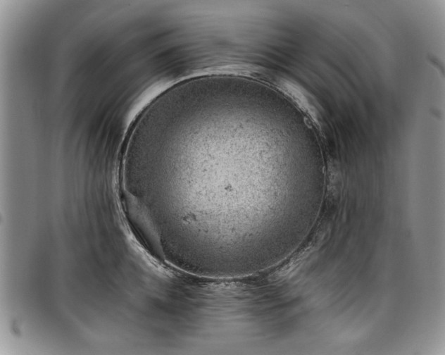 X0000098160952200804171555