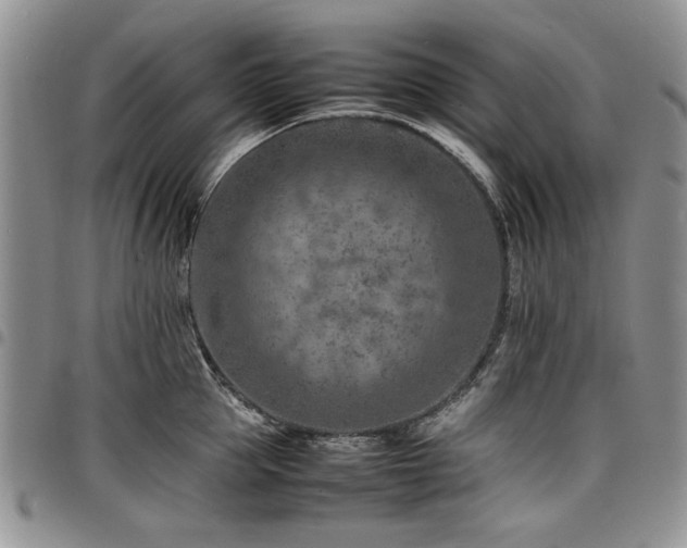 X0000098160953200804171555