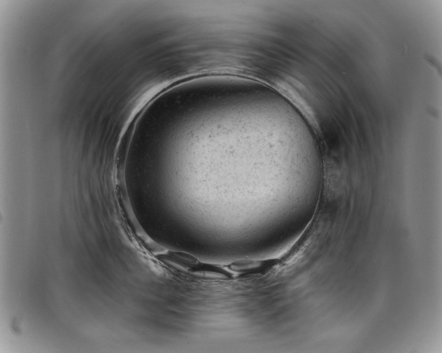 X0000098160956200804171555
