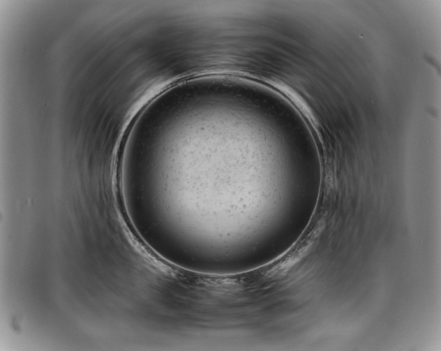 X0000098160957200804171555