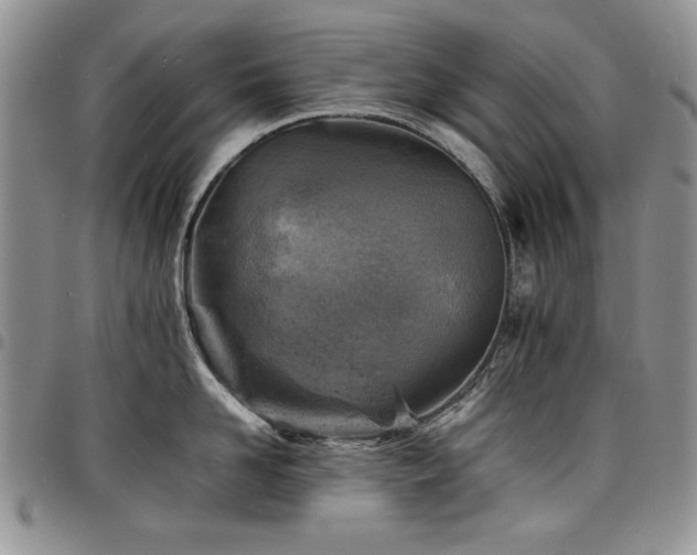 X0000098160958200804171555