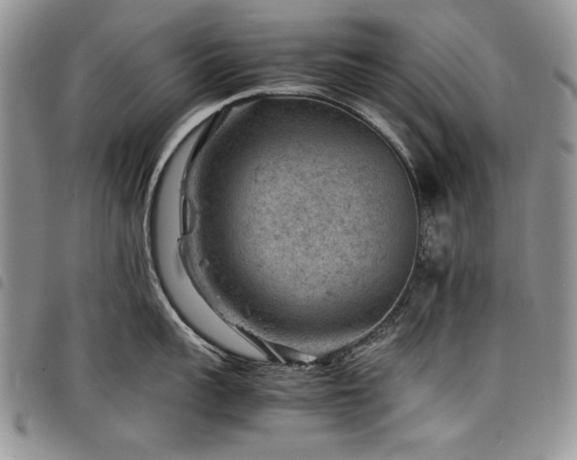 X0000098160959200804171555
