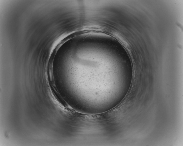X0000098160960200804171555