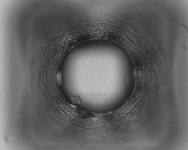 X0000098160961200804171555