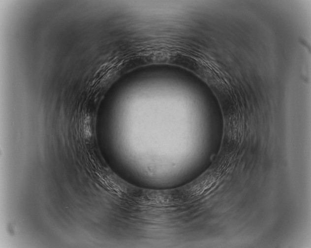 X0000098160962200804171555