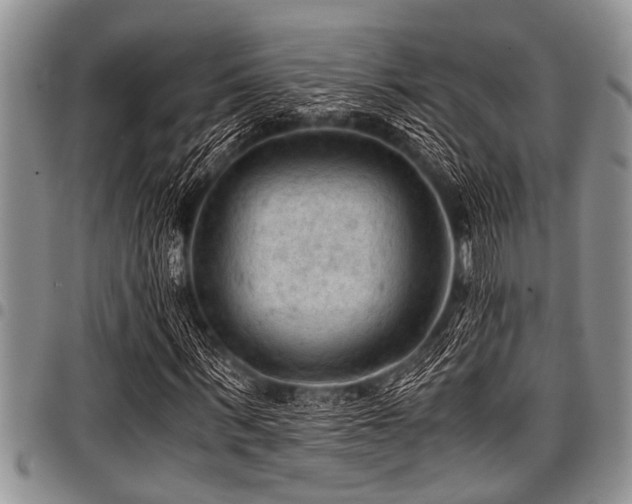 X0000098160963200804171555