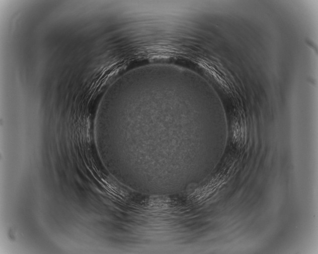 X0000098160964200804171555