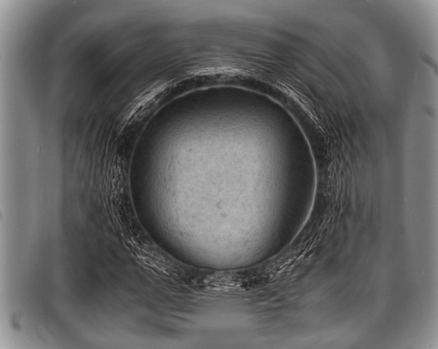 X0000098160967200804171555