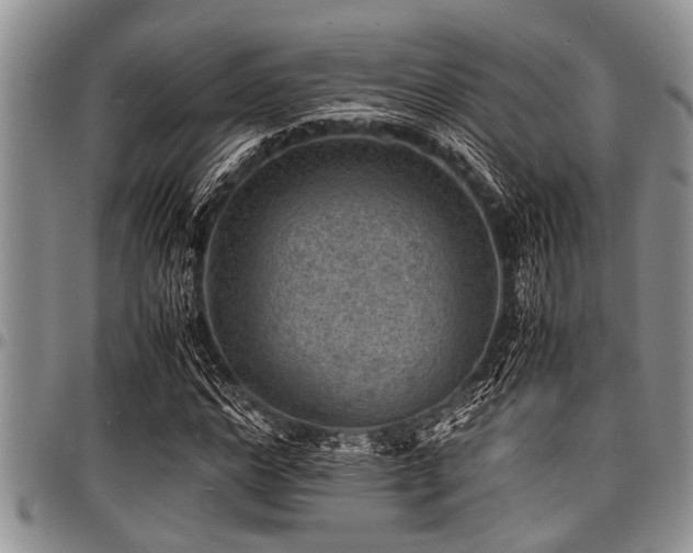 X0000098160968200804171555