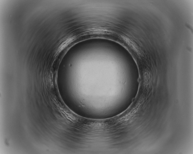 X0000098160970200804171554